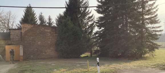 4 rooms House in Oberspreewald-Lausitz, Germany No. 29017 19