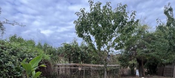 4 chambres Maison à Corrèze, France No. 302884 16