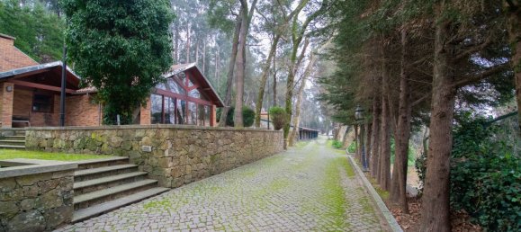 11 bedrooms House in Oliveira de Azemeis, Portugal No. 72027 41