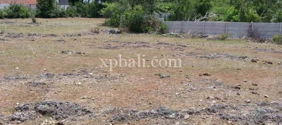 Земельный участок 5235м² в Южная Кута, Индонезия № 4166 3