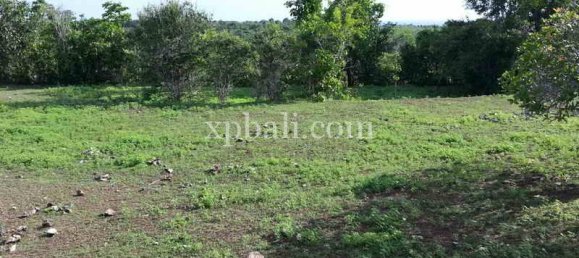 Земельный участок 5235м² в Южная Кута, Индонезия № 4166 5