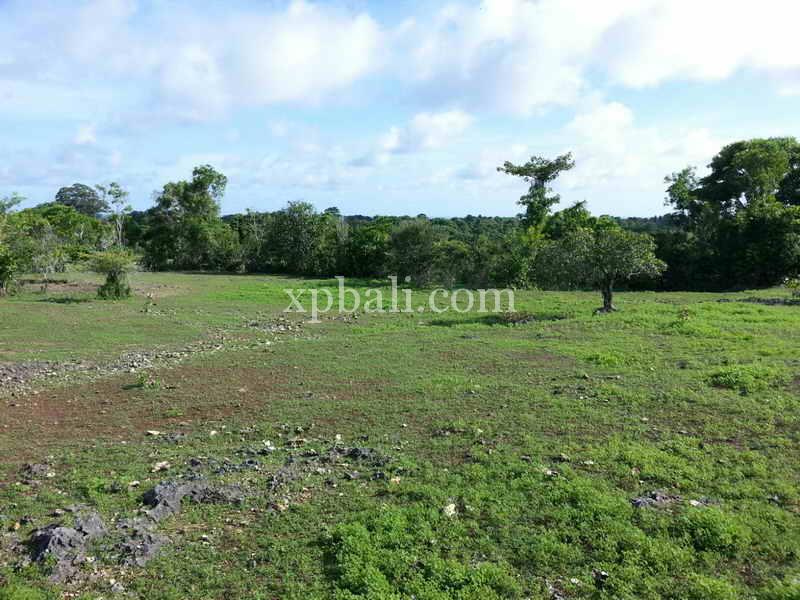 Земельный участок 5235м² в Южная Кута, Индонезия № 4166