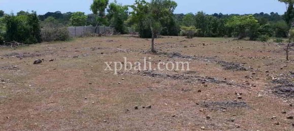 Земельный участок 5235м² в Южная Кута, Индонезия № 4166 4