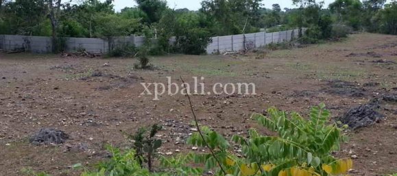 Земельный участок 5235м² в Южная Кута, Индонезия № 4166 2