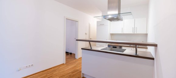 1 bedroom Apartment in Gosting, Austria No. 214859 3