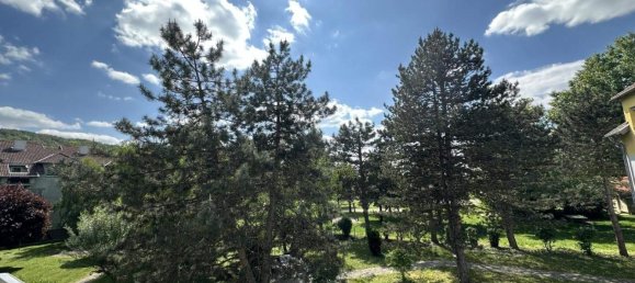 3 rooms Apartment in Zeiselmauer-Wolfpassing, Austria No. 214416 4