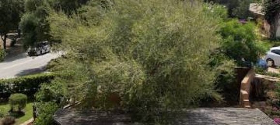 Apartamento T1 em Arzachena, Italy N.º 43956 19