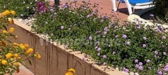 Apartamento T1 em Arzachena, Italy N.º 43956 26