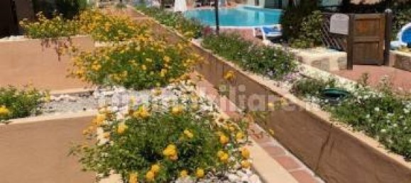 Apartamento T1 em Arzachena, Italy N.º 43956 25