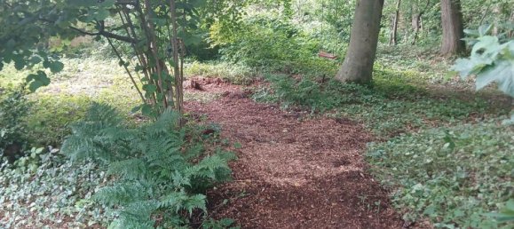 2 chambres Maison à Cuxhaven, Germany No. 323863 14