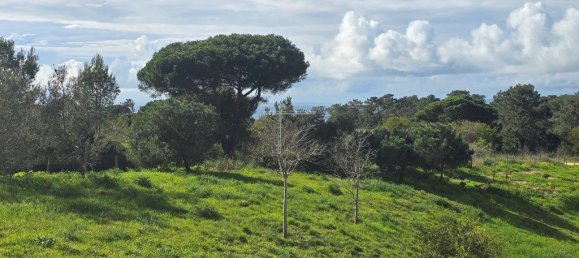 3 bedrooms Apartment in Almada, Portugal No. 99902 28