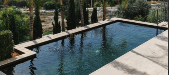 Вилла с 6 спальнями в Агиос Тихонас, Кипр № 3875 15