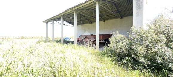 Квартира с 5 спальнями в Ористано, Италия № 60339 5