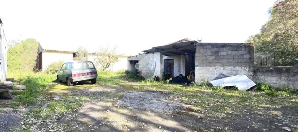 Квартира с 5 спальнями в Ористано, Италия № 60339 25