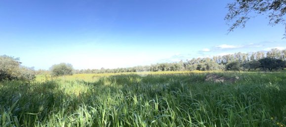 Квартира с 5 спальнями в Ористано, Италия № 60339 22