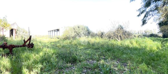 Квартира с 5 спальнями в Ористано, Италия № 60339 3