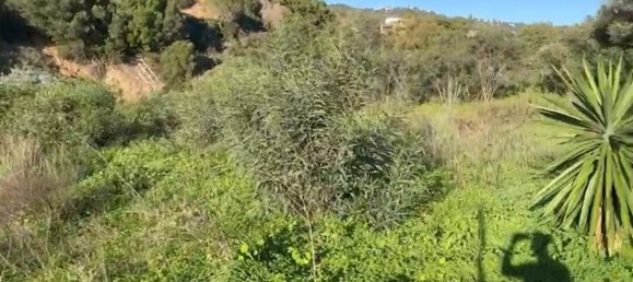  Land in Marbella, Spain No. 147845 3