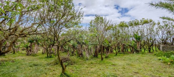 3 bedrooms House in Ponta Delgada, Portugal No. 174994 42