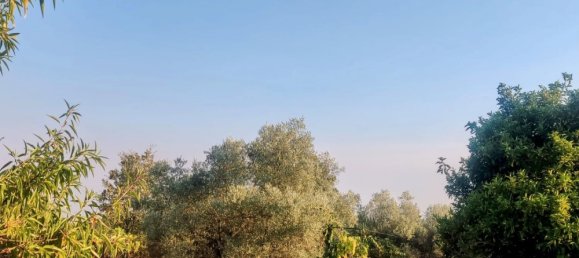 Земельный участок 7500м² в Касерес, Испания № 179746 9