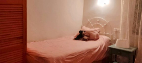 Земельный участок 7500м² в Касерес, Испания № 179746 20