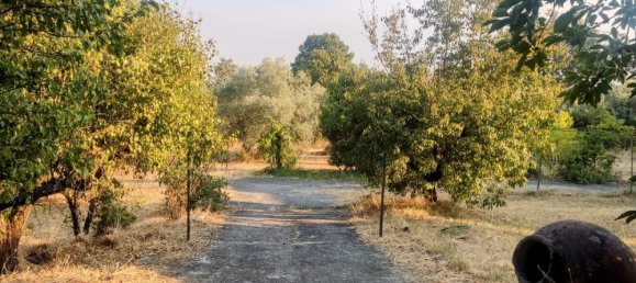 Земельный участок 7500м² в Касерес, Испания № 179746 14