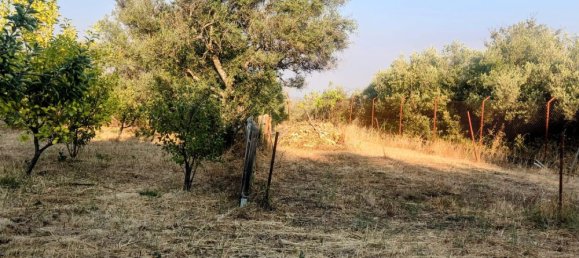 Земельный участок 7500м² в Касерес, Испания № 179746 11