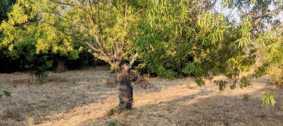 Земельный участок 7500м² в Касерес, Испания № 179746 13