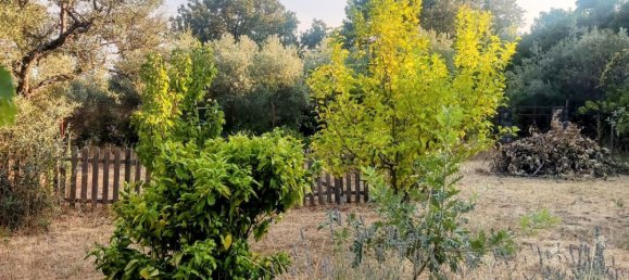 Земельный участок 7500м² в Касерес, Испания № 179746 12