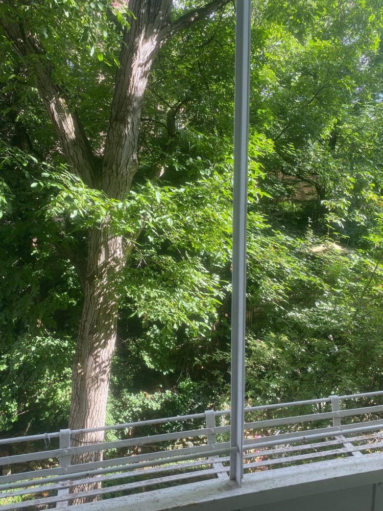 3-Zimmer Wohnung in Stuttgart, Germany, Nr. 246576