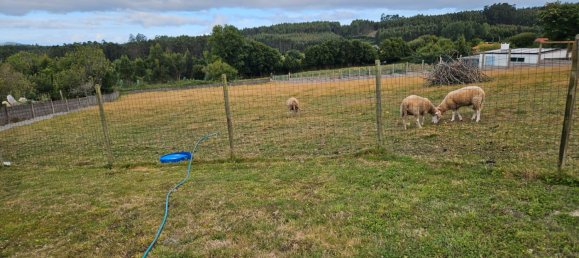 8 غرف نوم منزل في Naron, Spain رقم 186275 37