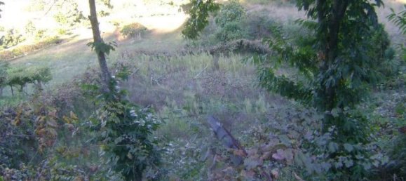 Дом с 2 спальнями в Марку ди Канавезиш, Португалия № 59545 18