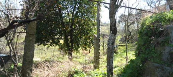 Дом с 2 спальнями в Марку ди Канавезиш, Португалия № 59545 11