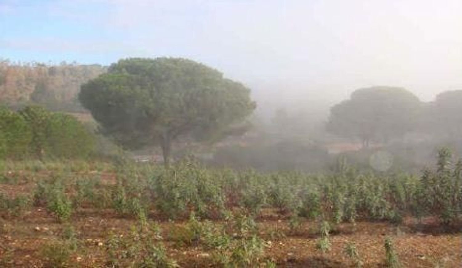 751574m² Land in Huelva, Spain No. 282458