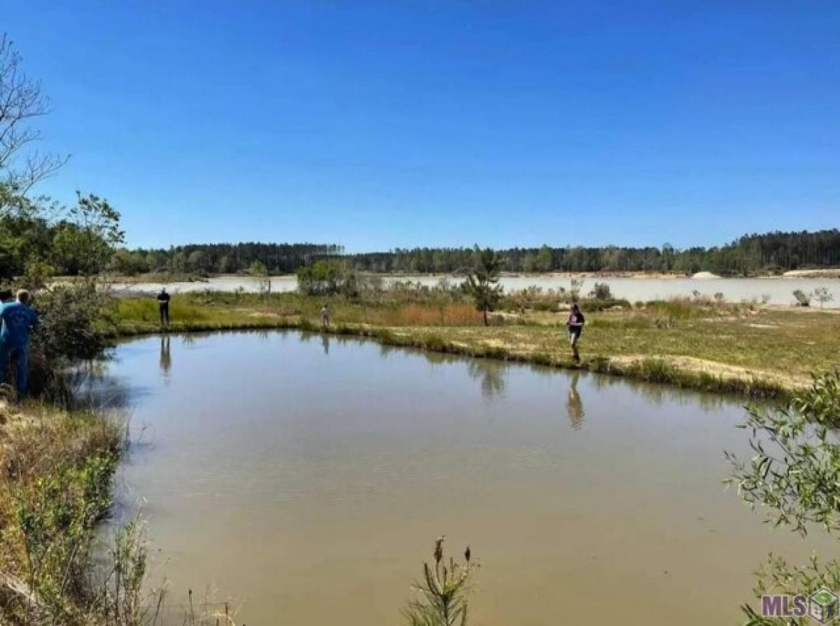  Land in Denham Springs, USA No. 477015