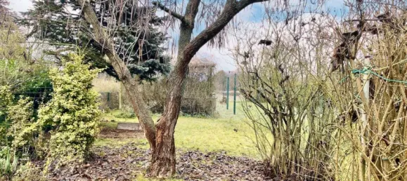 3 rooms Townhouse in Brandenburg, Germany No. 11727 7