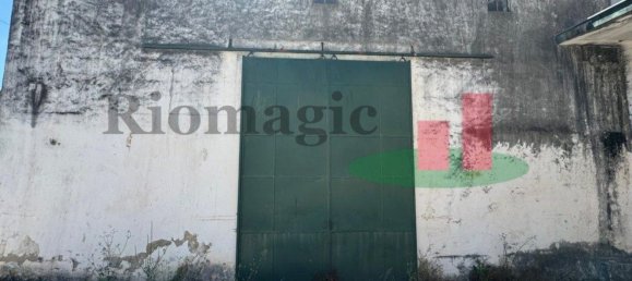 مستودع في Alvaiazere, Portugal 877متر مربع رقم 92486 20
