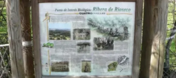 762m² Land in Leon, Spain No. 140871 11