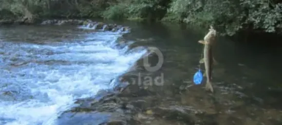 762m² Land in Leon, Spain No. 140871 3