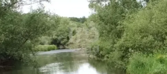 762m² Land in Leon, Spain No. 140871 8