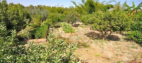 4 bedrooms House in Casares, Spain No. 38726 36