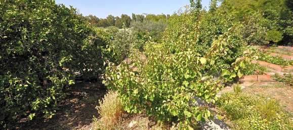 4 bedrooms House in Casares, Spain No. 38726 37