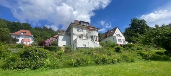 3 bedrooms Villa in Rhein-Neckar-Kreis, Germany No. 168722 7