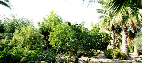 6 chambres Villa à Coin, Spain No. 32108 15