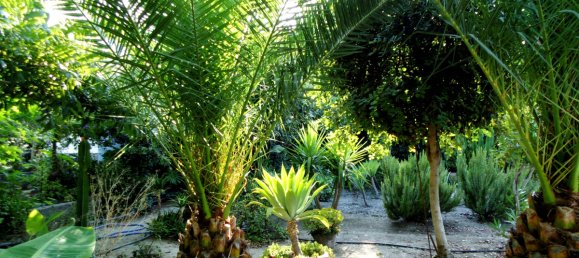 6 chambres Villa à Coin, Spain No. 32108 31