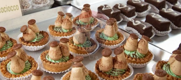 2 rooms Commercial property in Rovato, Italy No. 371652 29