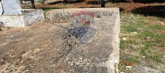 10700m² Land in Carovigno, Italy No. 163527 13