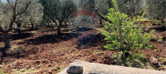 10700m² Land in Carovigno, Italy No. 163527 15