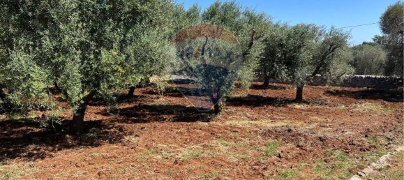 10700m² Land in Carovigno, Italy No. 163527 7