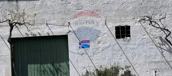 10700m² Land in Carovigno, Italy No. 163527 8