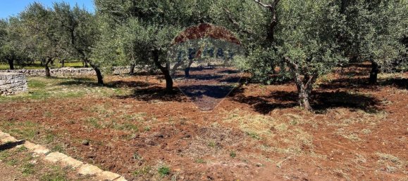 10700m² Land in Carovigno, Italy No. 163527 9